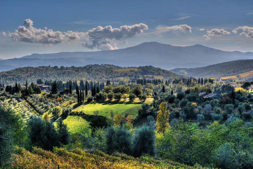 Agriturismo Fraschetta Montalcino Exteriör bild