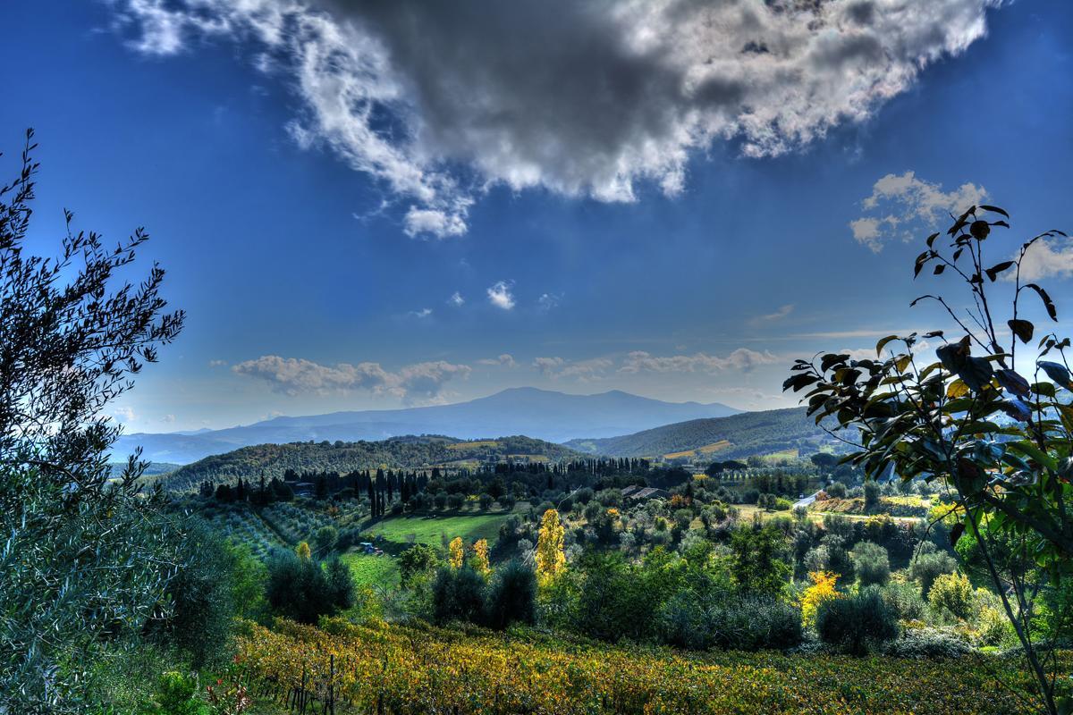 Agriturismo Fraschetta Montalcino Exteriör bild